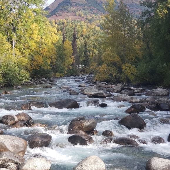 Meet your Posher, Cyndi - Picture 11 of 16